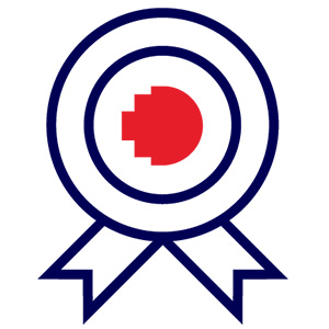 Medal icon